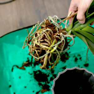 Alternative view of Arbeidsmatte med kanter – For planting, hobby og fiks