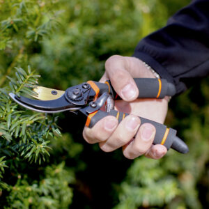 Ergonomisk hagesaks